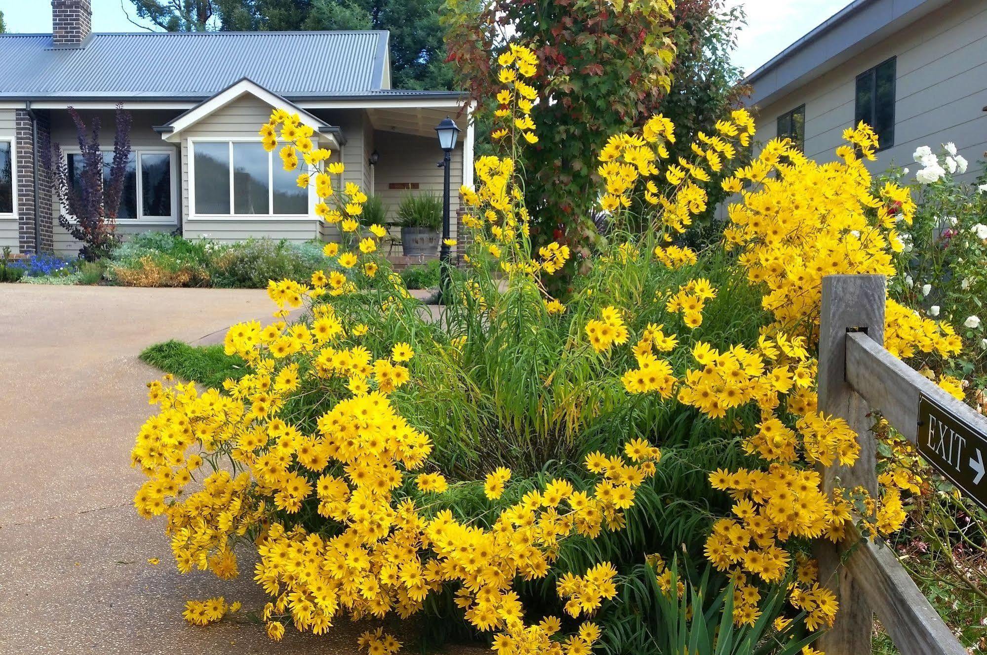 Guest house Garden 4*