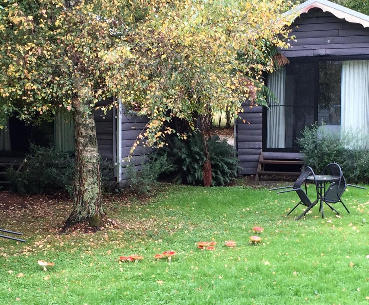 Crossways Country Marysville