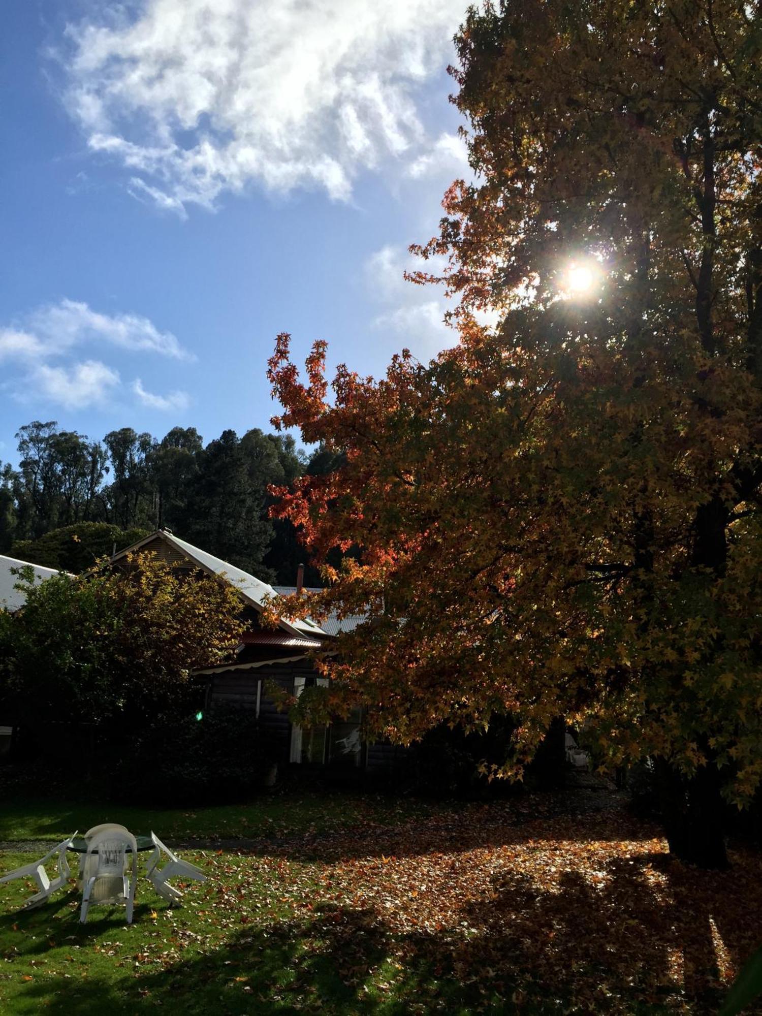 Crossways Country Motel